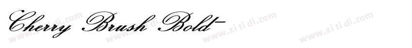 Cherry Brush Bold字体转换